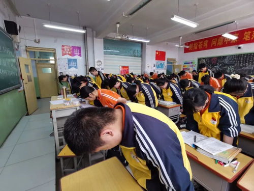 衡水市第十四中學(xué)學(xué)子悼念袁隆平院士 吳孟超院士