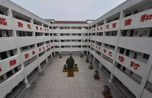 一個高五復讀生的高考勵志故事 心若在,夢就在,大不了是從頭再來