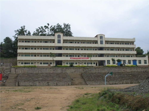 武漢市橋頭中學(xué)