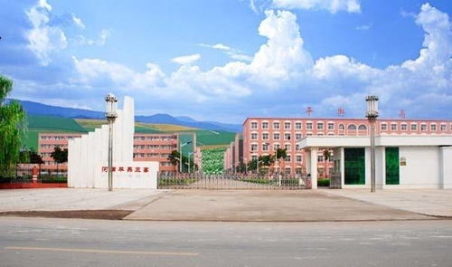 平輿縣第三高級(jí)中學(xué) 培育英才，鑄就未來(lái)